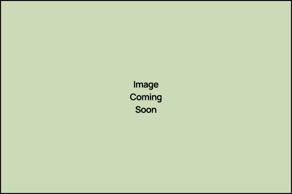 Image Coming Soon
